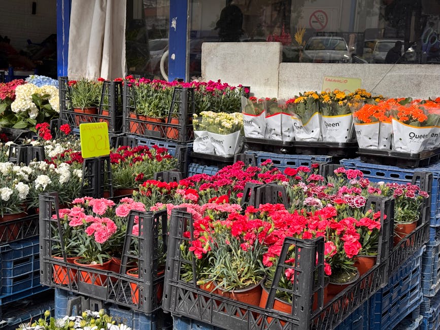 A display of potted flowers arranged in black plastic crates outside a flower shop, featuring vibrant pink, red, orange, yellow, and white blooms. The flowers include carnations and chrysanthemums wit